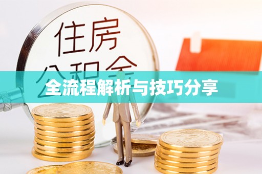 安龙全流程解析与技巧分享
