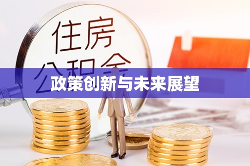 安龙政策创新与未来展望